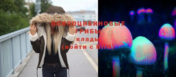 кокс Алексин