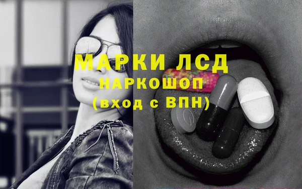 гидра Алексеевка