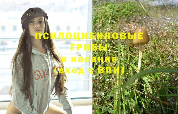 MESCALINE Алзамай