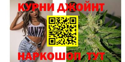 мяу мяу мука Ачхой-Мартан
