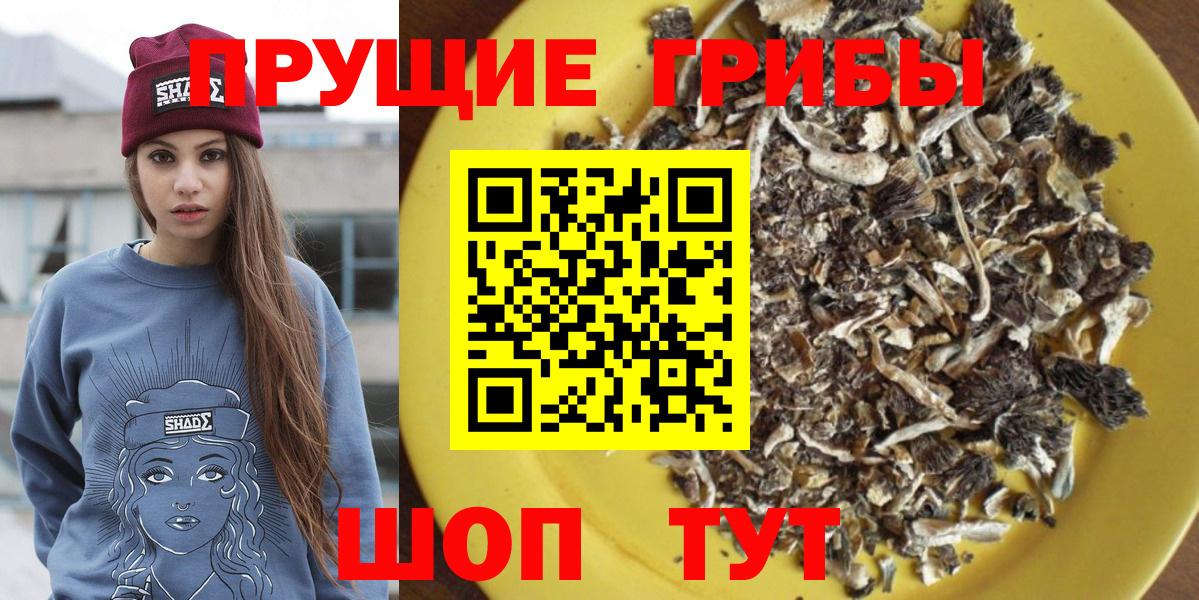 Белореченск  Галлюциногенные грибы Cubensis  Псилоцибиновые грибы мицелий  хочу   Вход с VPN 