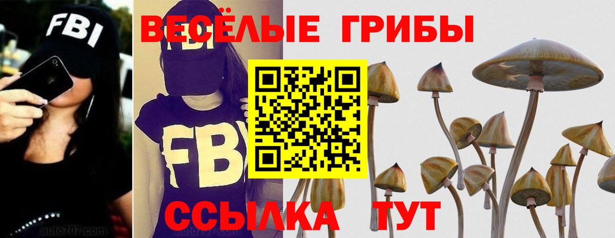 Псилоцибиновые грибы мухоморы Белореченск
